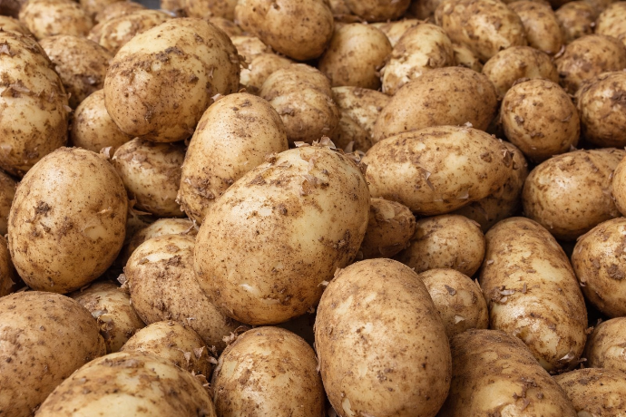 Aalu 1kg (potato)