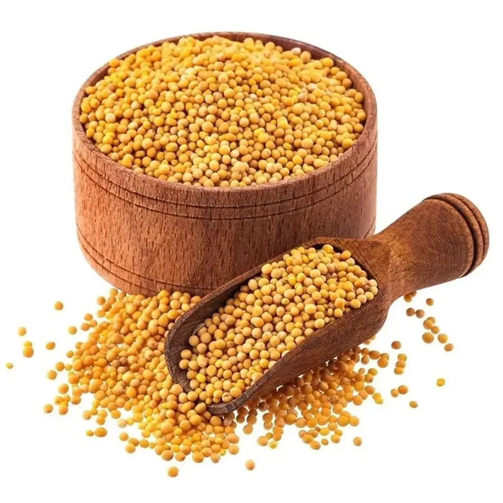 Yellow Sarso (Yellow Mustard) 500g