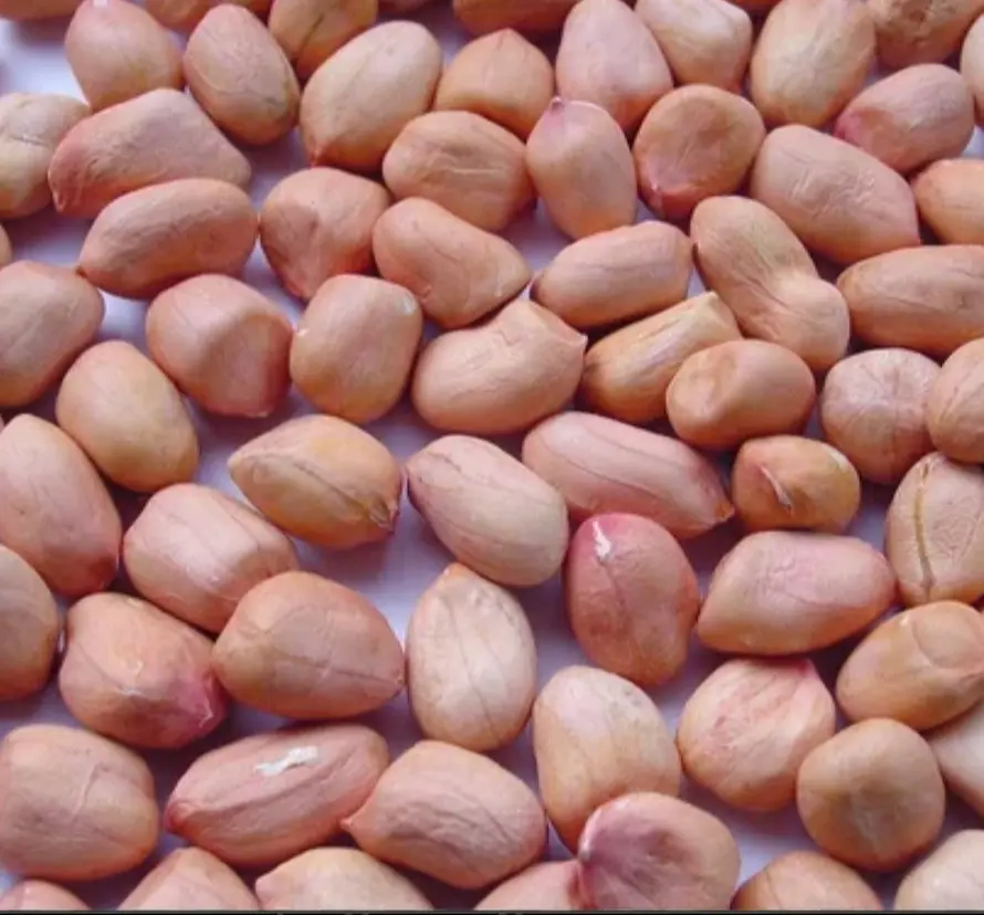 Badam 500g