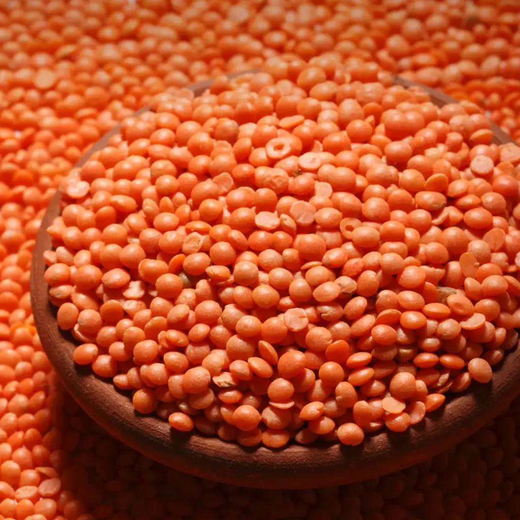 Masoor Dal Bada (Red Lentils) 500g